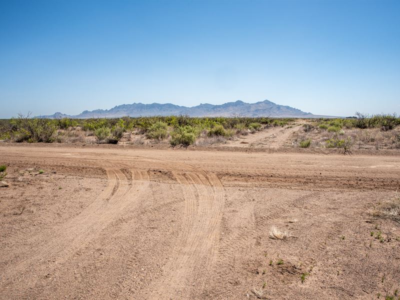 5 Acres Of Pure Tranquility : Deming : Luna County : New Mexico