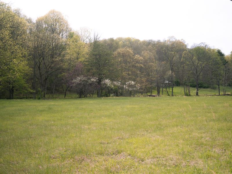 Affordable 40 Acre Tract, Farm for Sale in Ohio, 348286 FARMFLIP