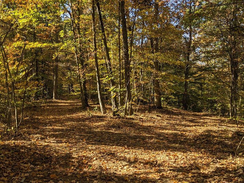 Adjoins Wayne National Forest, Farm for Sale in Ohio, 348288 FARMFLIP