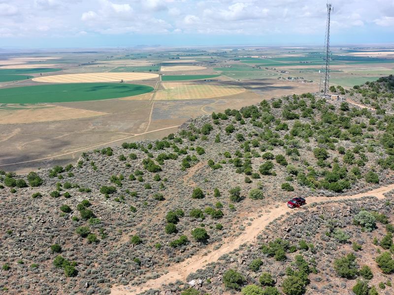 Land with Trees & Great Views : Fort Garland : Costilla County : Colorado