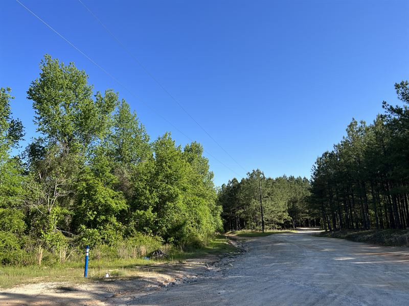 Thousands of Feet on Briar Creek : Stapleton : Jefferson County : Georgia