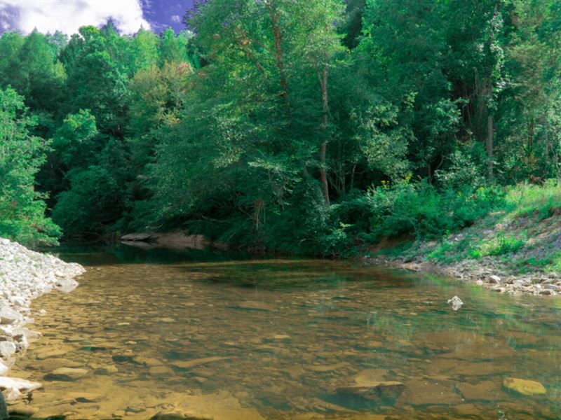 Land on Indian Creek : Whitley City : McCreary County : Kentucky