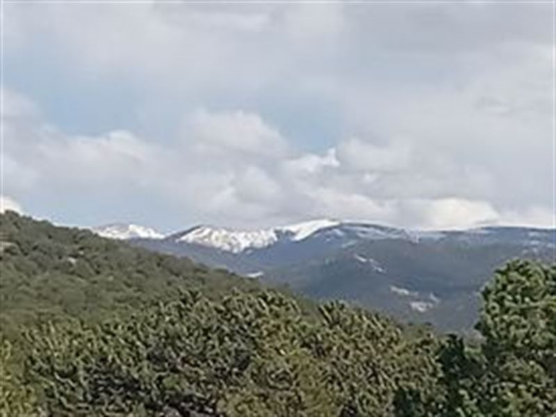 Sangre DE Cristo Ranches with Trees : Fort Garland : Costilla County : Colorado