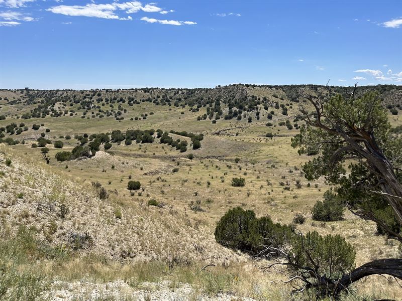 360 South at Hatchet Ranch : Pueblo : Pueblo County : Colorado