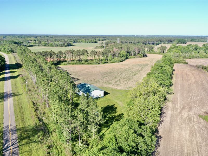 Sumter County Farm & Hunting : Americus : Sumter County : Georgia