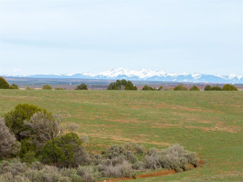 Walton Ranch : Cahone : Dolores County : Colorado
