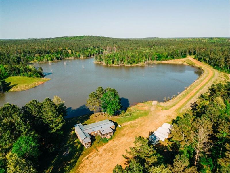 Riverfront Timber Investment Proper : Vaiden : Attala County : Mississippi