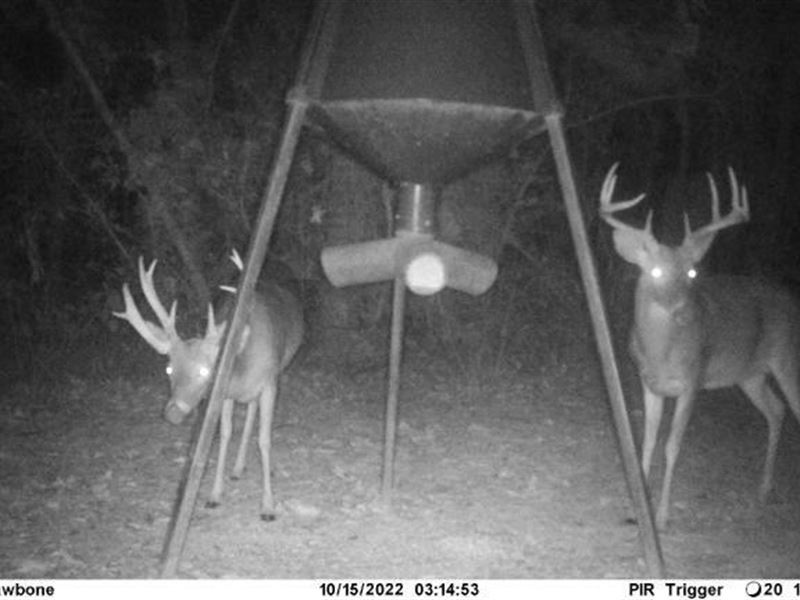 2510 Acres Hunting Property for Sal : Talisheek : Saint Tammany Parish : Louisiana