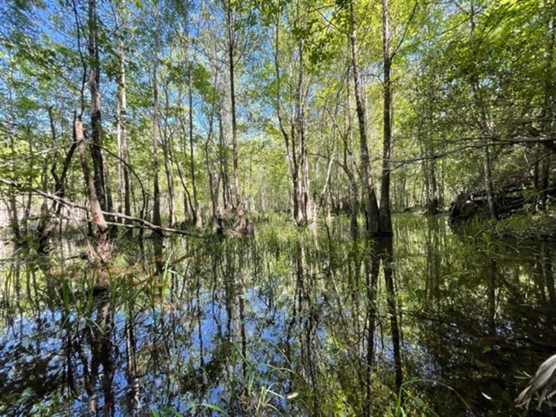 Little Ohoopee River : Adrian : Emanuel County : Georgia