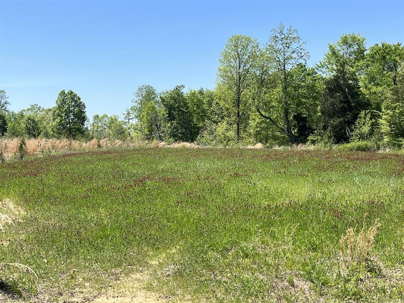 Haygood Tract : Pulaski : Giles County : Tennessee