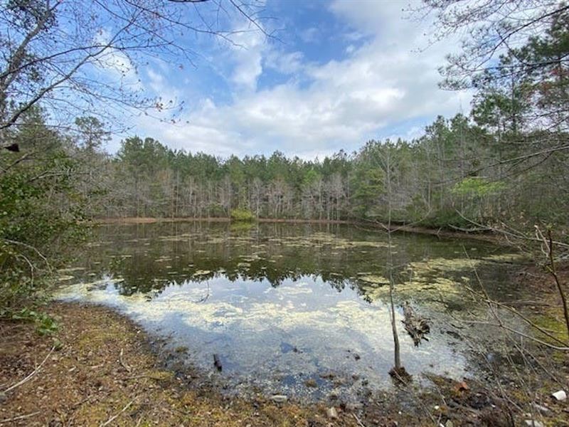 McNair 155 : Laurinburg : Scotland County : North Carolina