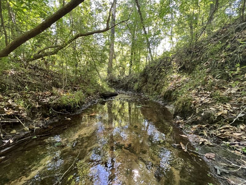 Lake Point Tract 121 Acres : Eufaula : Barbour County : Alabama