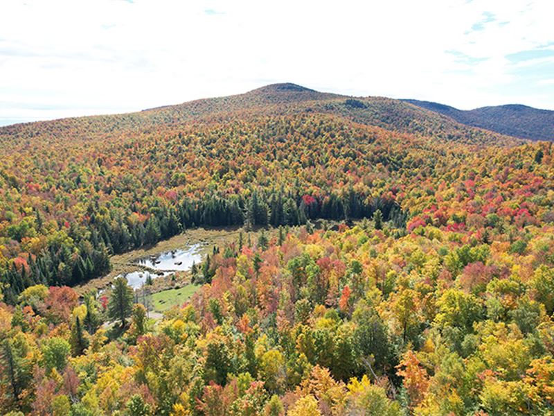 Cherry Ridge Forest, Farm for Sale in New York, 348825 FARMFLIP