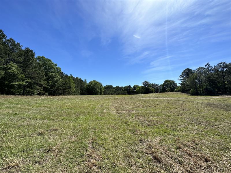 Black Rock Road Lot 1 : Honoraville : Crenshaw County : Alabama