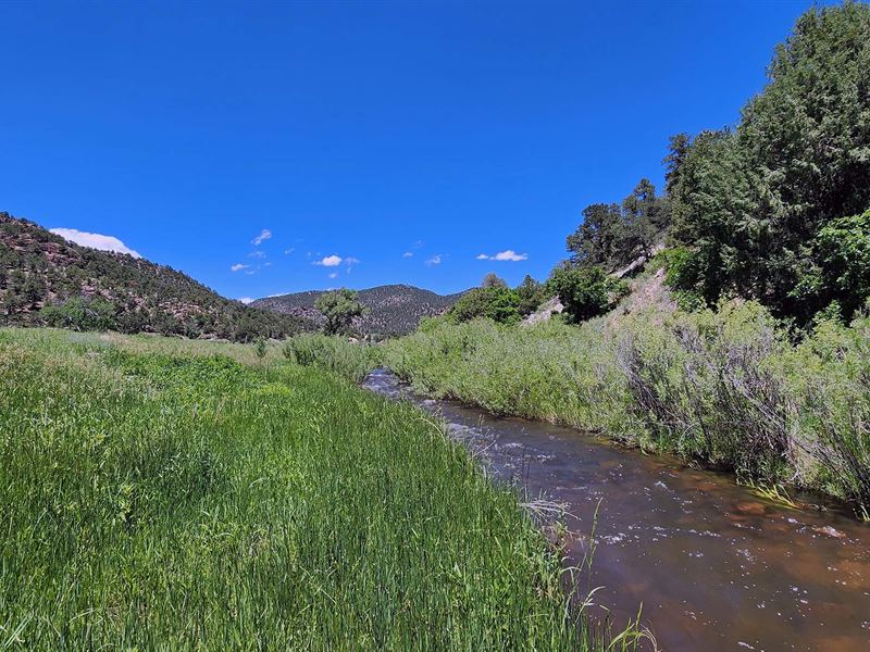 Excellent Trout Fishing : Canon City : Fremont County : Colorado