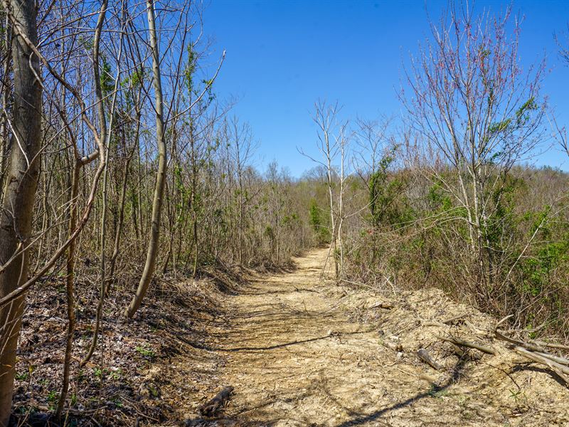 Thompsonville Rd 60.25 Ac, Lot 1, Farm for Sale in Ohio, 349021 FARMFLIP