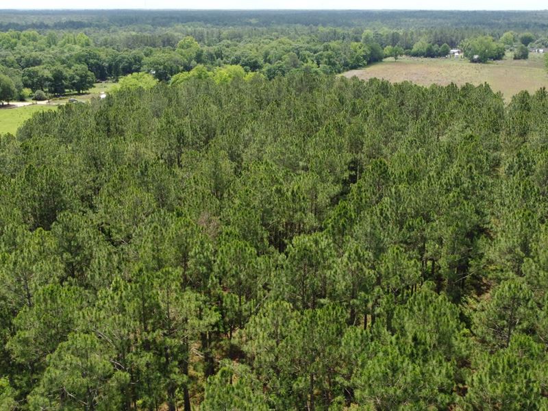 Goose Creek 50, Farm for Sale in 349033 FARMFLIP