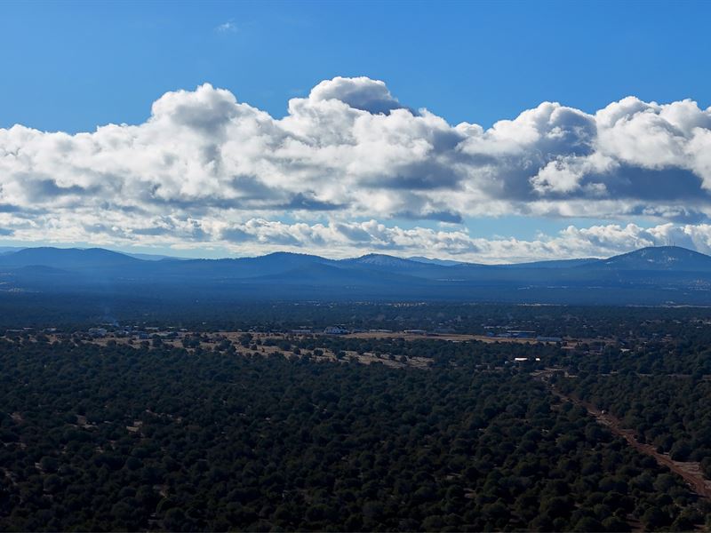 2 Sold White Mtn, 3- 8 Ac Available : Show Low : Navajo County : Arizona