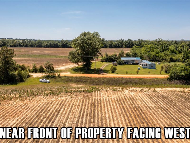 38.78 Acres Farm, Home, Recreation : Marianna : Jefferson County : Florida