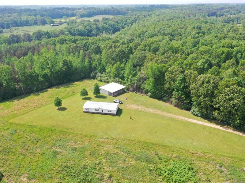 Wiggington Farm : Hackleburg : Marion County : Alabama