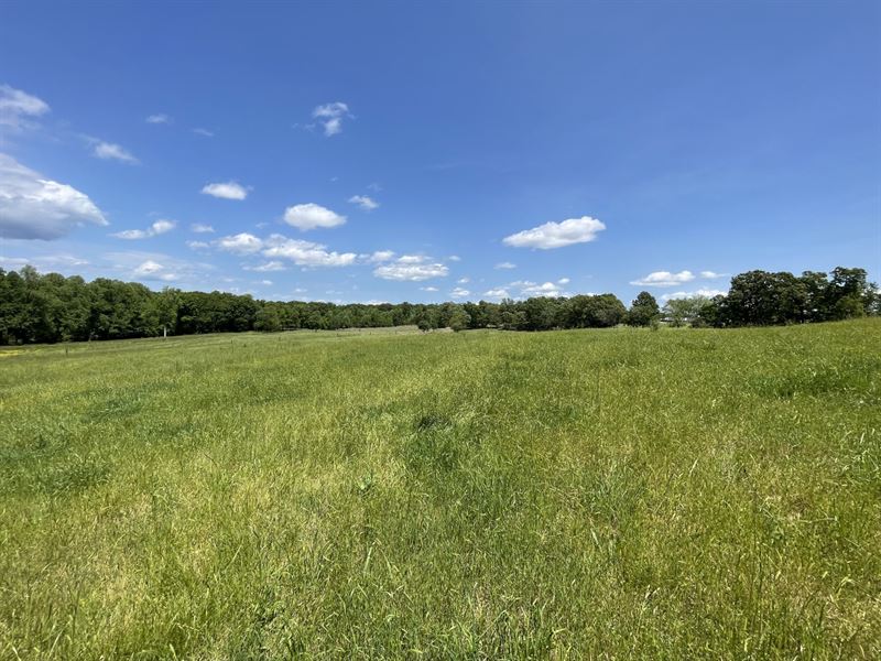 61 Acres, White County, GA, Farm for Sale in 349243 FARMFLIP