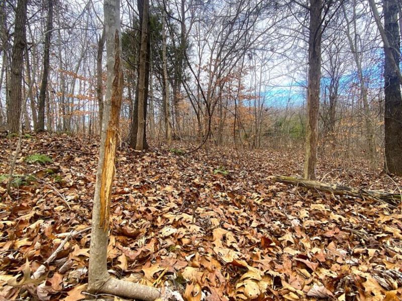 Hunting Retreat Near Green River : Greensburg : Green County : Kentucky