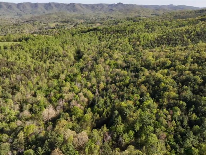 8.612 Acres in Patrick County, VA, Farm for Sale by Owner in Virginia