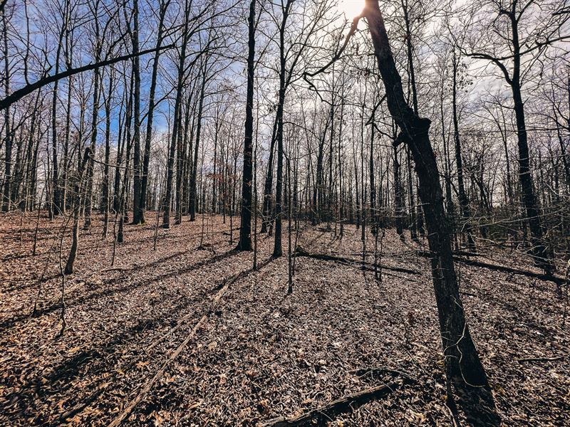 Hunting & Recreational Dream : Caulfield : Howell County : Missouri