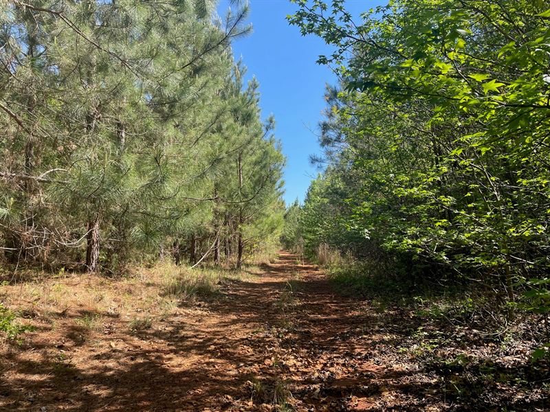 Unawatti Plantation : Carnesville : Franklin County : Georgia