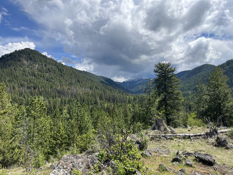 100Acre Mining Claim, Farm for Sale in Idaho, 349382 FARMFLIP