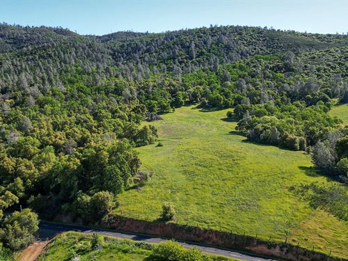 Neuman Ranch : Groveland : Tuolumne County : California