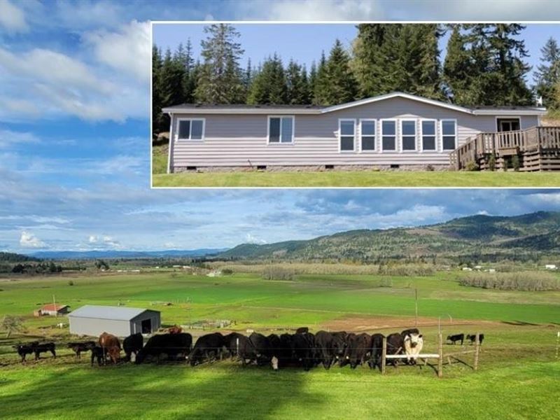 210 Acre Cattle Ranch Creswell, OR, Farm for Sale in Oregon, 349481