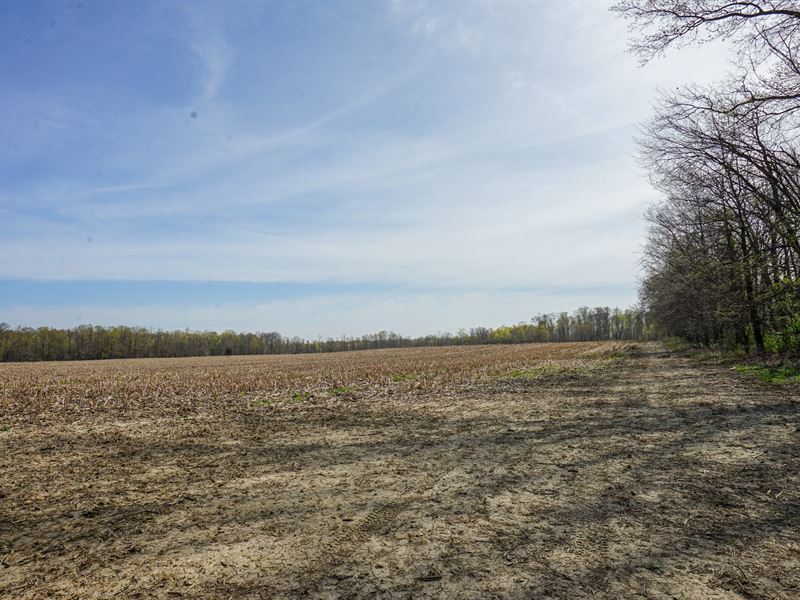 Vesta Rd 23 : Wakeman : Huron County : Ohio