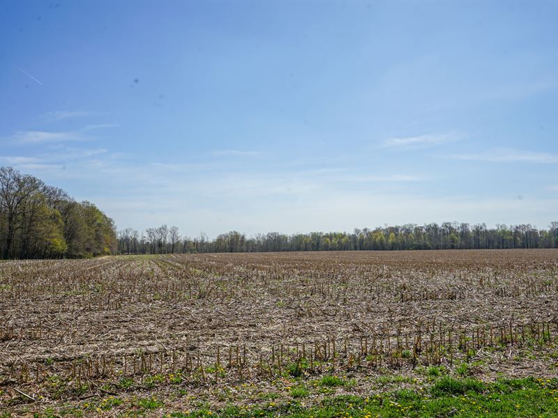 Vesta Rd 24 : Wakeman : Huron County : Ohio