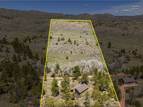307 Brewster Lane : Livermore : Larimer County : Colorado