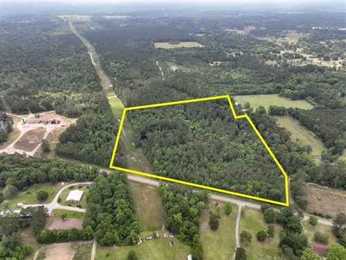 25 Acres, FM 2937 C-1 Silsbee : Silsbee : Hardin County : Texas