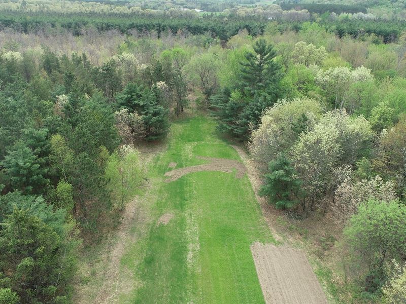 60 Acres Jackson County : Fairchild : Jackson County : Wisconsin