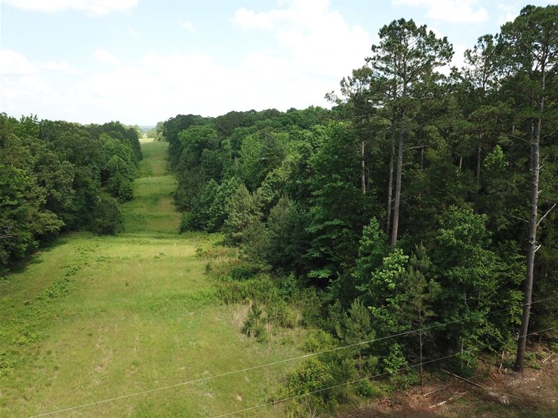 La, Union 47 Acres : Downsville : Union Parish : Louisiana