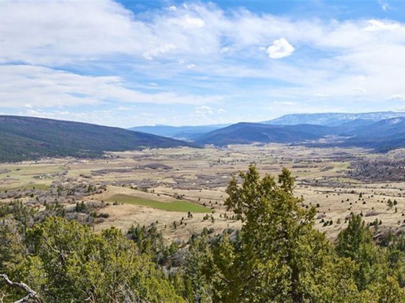 Oak Creek Ranch : Chacon : Mora County : New Mexico