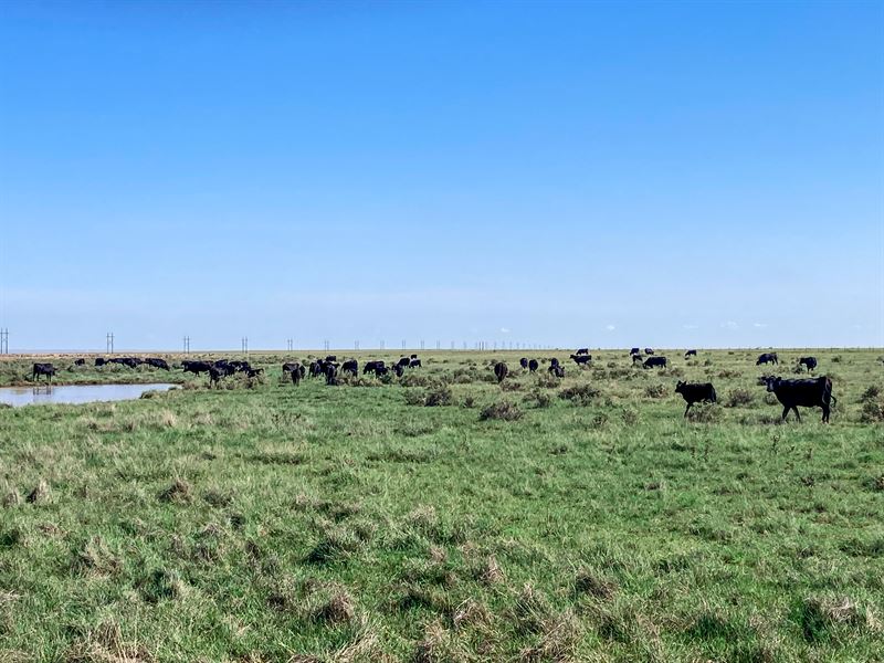 Santa Fe Trail Ranch for Sale : Lajunta : Otero County : Colorado