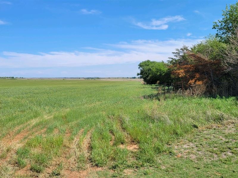 Ks, Barber 165 Acres : Hardtner : Barber County : Kansas