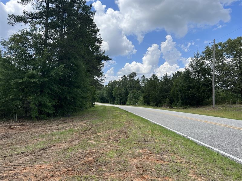 Newbia Mini Farm, Tract 1 : Elba : Coffee County : Alabama