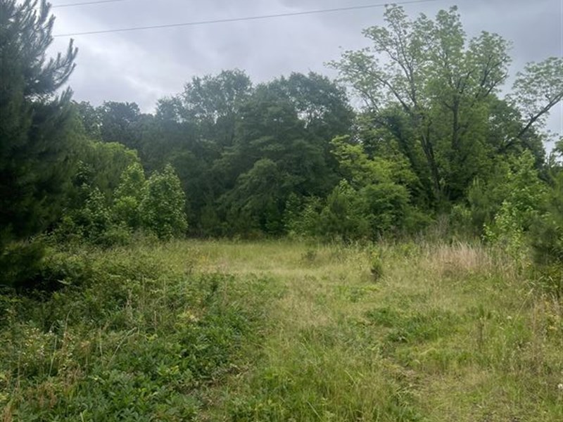 Beautiful Wilkes County Tract : Rayle : Wilkes County : Georgia