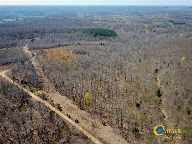 Pafford Tract Southwest : Erin : Houston County : Tennessee