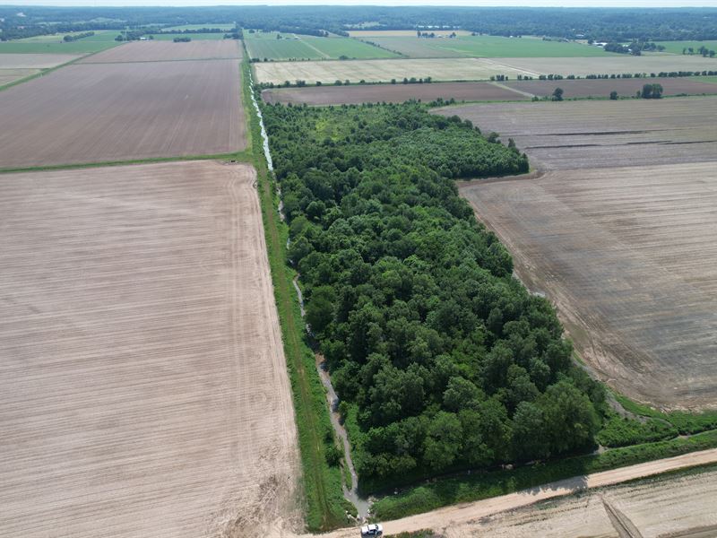 All Wooded County Rd Frontage : Paragould : Greene County : Arkansas