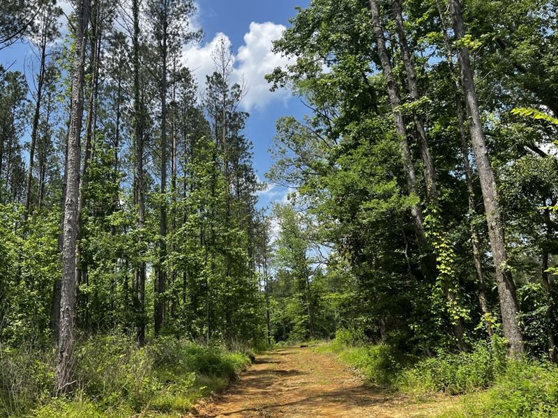 443 Acres in Attala County, MS, Farm for Sale by Owner in Mississippi