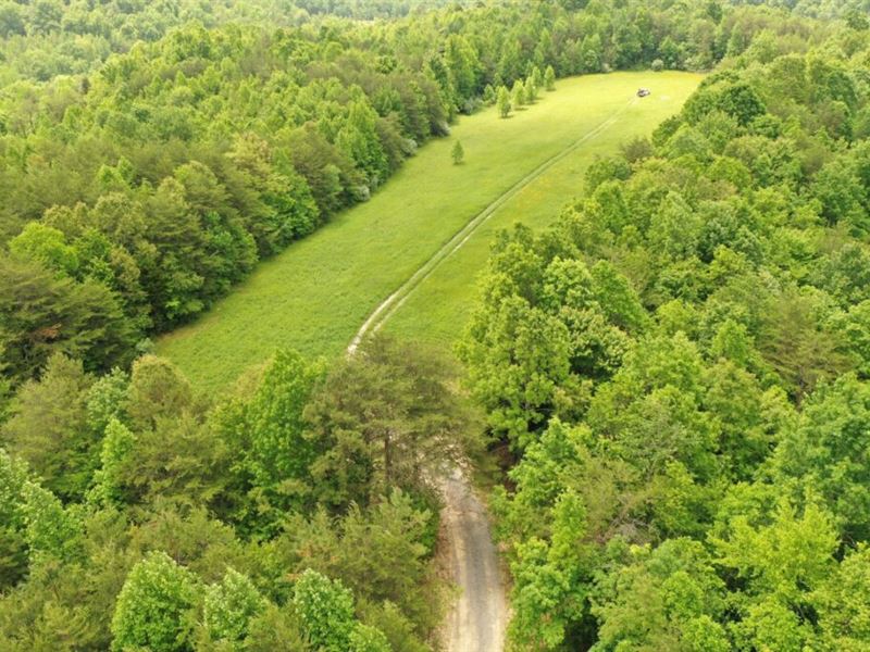 Beautiful Flat Fields, Wood, Stream, Farm for Sale by Owner in Kentucky