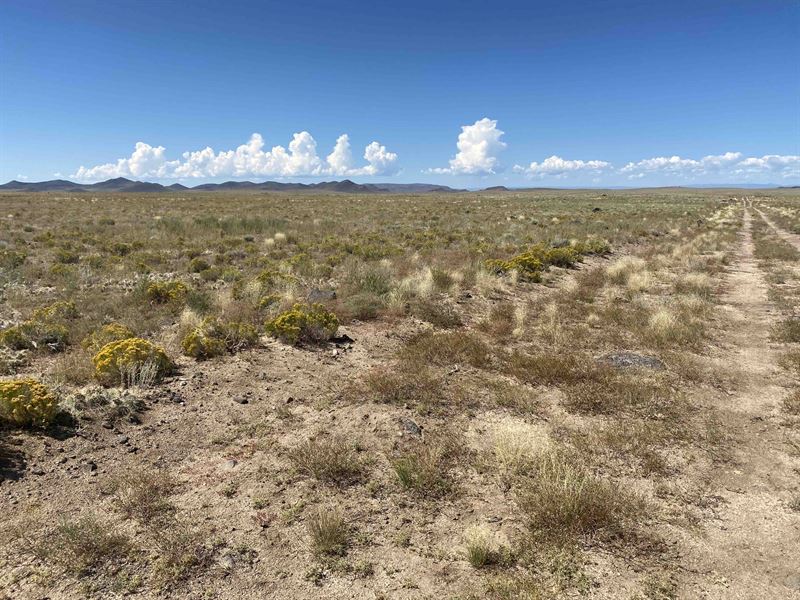 A Peaceful Mountain Escape : Blanca : Costilla County : Colorado