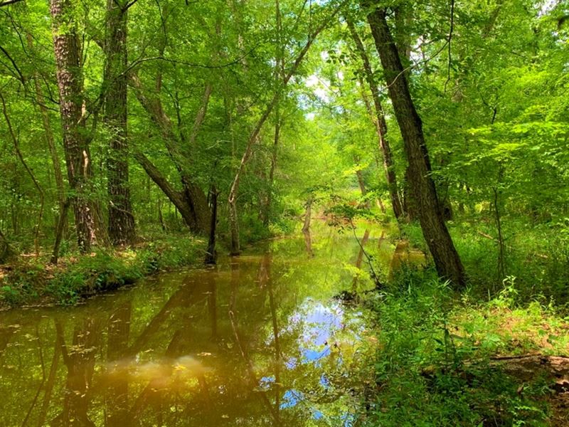 Buffalo Creek, Camp Site, Farm for Sale in 350128 FARMFLIP