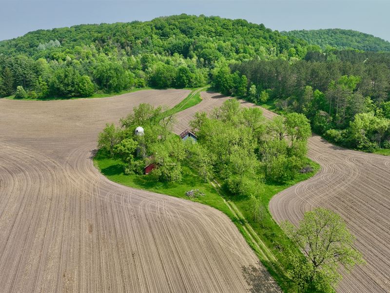 112 Acres in Pepin County, Farm for Sale in Wisconsin, 350191 FARMFLIP